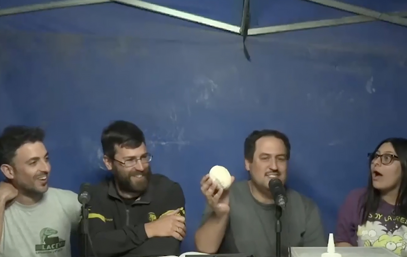 Ученые обнаружили идеально сохранившееся яйцо динозавра, которому более 70 миллионов лет